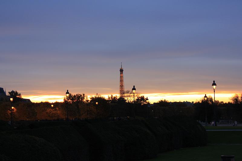 _MG_7524 - Copy.JPG